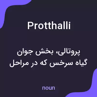 معنی protthalli به فارسی معنی protthalli به فارسی