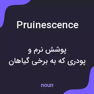 معنی pruinescence به فارسی معنی pruinescence به فارسی