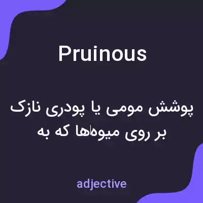 معنی pruinous به فارسی معنی pruinous به فارسی