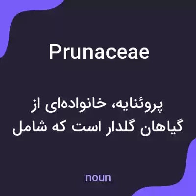 معنی prunaceae به فارسی معنی prunaceae به فارسی