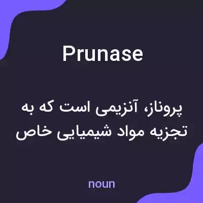 معنی prunase به فارسی معنی prunase به فارسی