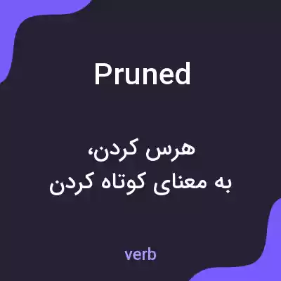 معنی pruned به فارسی معنی pruned به فارسی