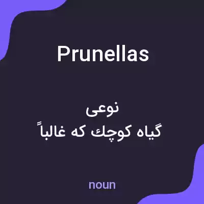 معنی prunellas به فارسی معنی prunellas به فارسی