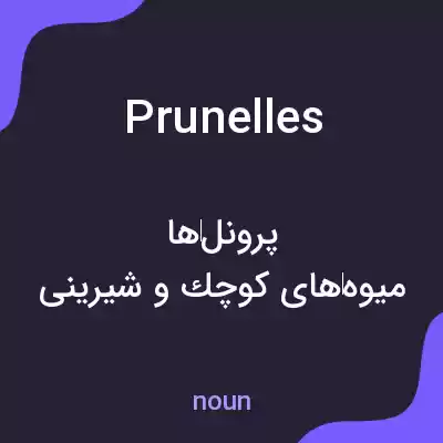 معنی prunelles به فارسی معنی prunelles به فارسی