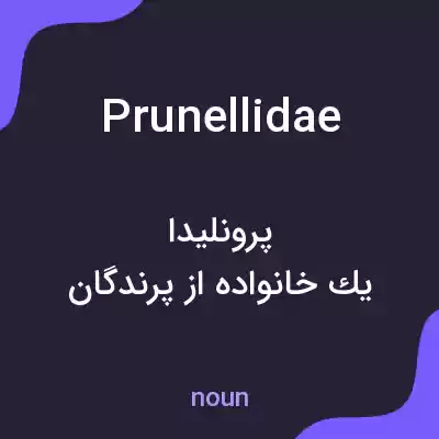 معنی prunellidae به فارسی معنی prunellidae به فارسی