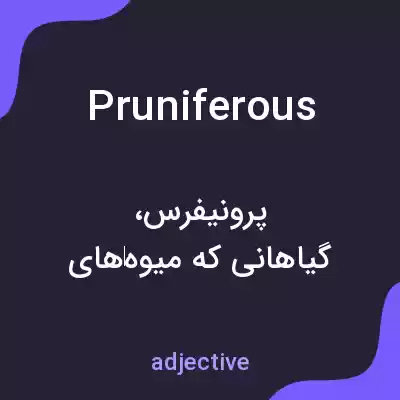 معنی pruniferous به فارسی معنی pruniferous به فارسی