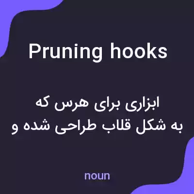 معنی pruning hooks به فارسی معنی pruning hooks به فارسی
