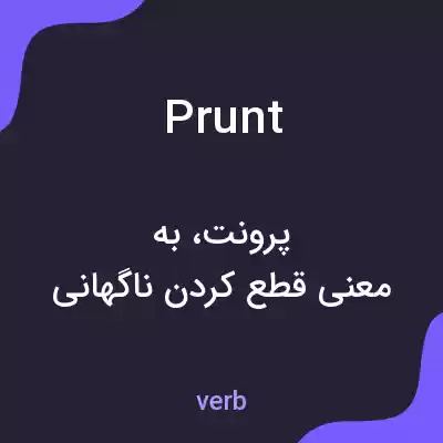 معنی prunt به فارسی معنی prunt به فارسی