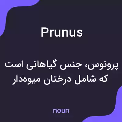معنی prunus به فارسی معنی prunus به فارسی