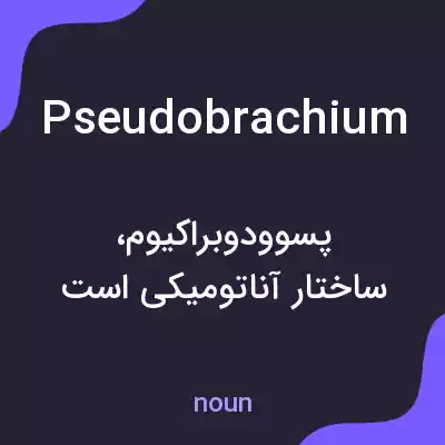 معنی pseudobrachium به فارسی معنی pseudobrachium به فارسی