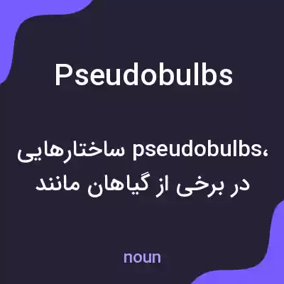 معنی pseudobulbs به فارسی
