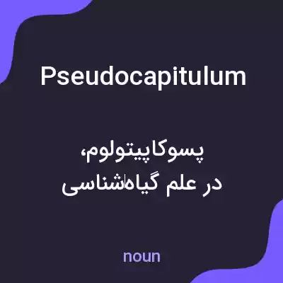 معنی pseudocapitulum به فارسی معنی pseudocapitulum به فارسی