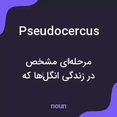 معنی pseudocercus به فارسی معنی pseudocercus به فارسی