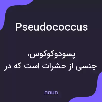 معنی pseudococcus به فارسی معنی pseudococcus به فارسی