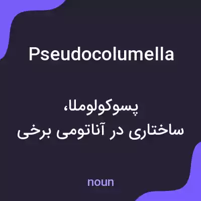 معنی pseudocolumella به فارسی معنی pseudocolumella به فارسی