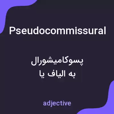 معنی pseudocommissural به فارسی معنی pseudocommissural به فارسی