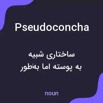 معنی pseudoconcha به فارسی
