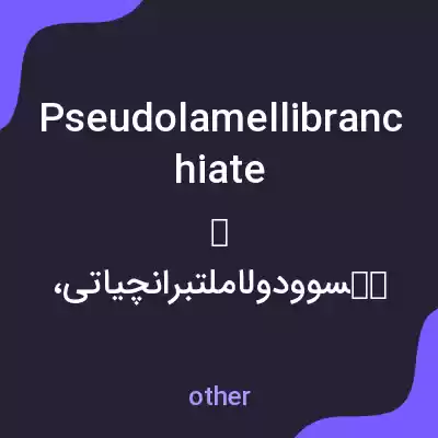 معنی pseudolamellibranchiate به فارسی معنی pseudolamellibranchiate به فارسی