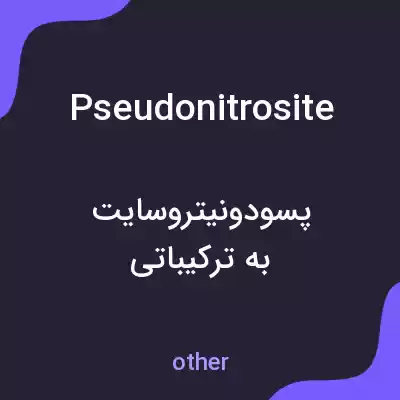 معنی pseudonitrosite به فارسی معنی pseudonitrosite به فارسی