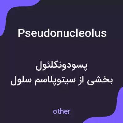 معنی pseudonucleolus به فارسی معنی pseudonucleolus به فارسی