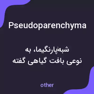 معنی pseudoparenchyma به فارسی معنی pseudoparenchyma به فارسی
