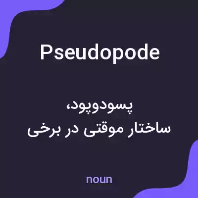 معنی pseudopode به فارسی معنی pseudopode به فارسی