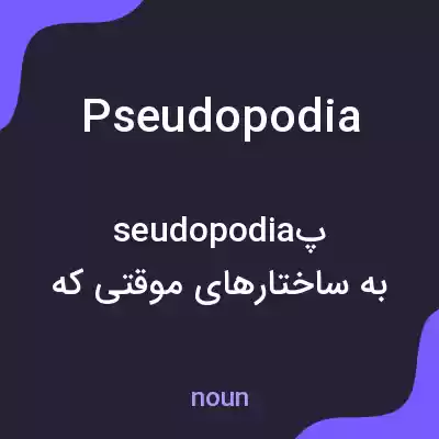 معنی pseudopodia به فارسی معنی pseudopodia به فارسی