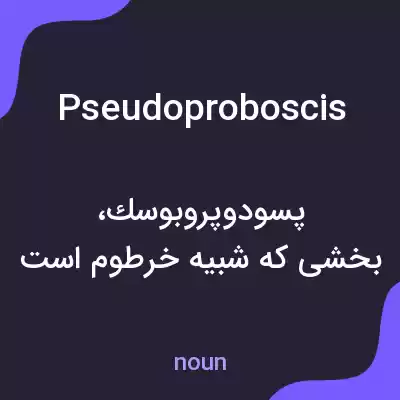معنی pseudoproboscis به فارسی معنی pseudoproboscis به فارسی