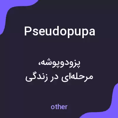 معنی pseudopupa به فارسی معنی pseudopupa به فارسی