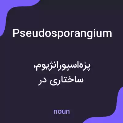 معنی pseudosporangium به فارسی معنی pseudosporangium به فارسی