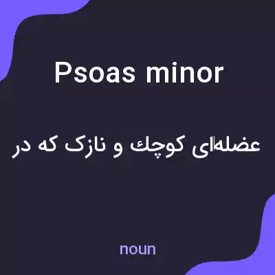 معنی psoas minor به فارسی معنی psoas minor به فارسی
