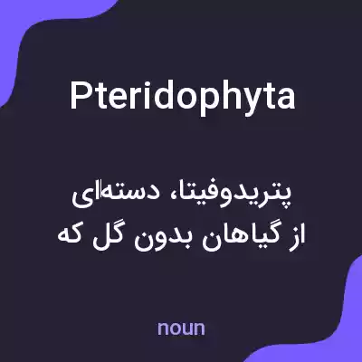 معنی pteridophyta به فارسی معنی pteridophyta به فارسی