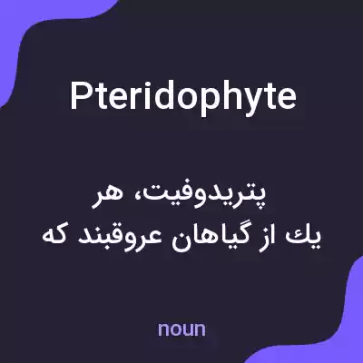 معنی pteridophyte به فارسی معنی pteridophyte به فارسی