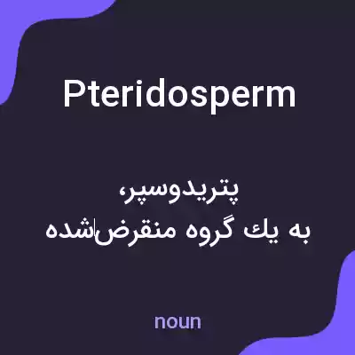 معنی pteridosperm به فارسی معنی pteridosperm به فارسی