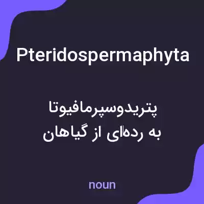 معنی pteridospermaphyta به فارسی معنی pteridospermaphyta به فارسی