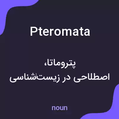 معنی pteromata به فارسی معنی pteromata به فارسی