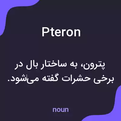 معنی pteron به فارسی معنی pteron به فارسی