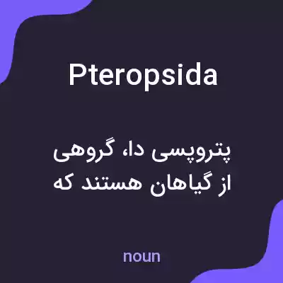 معنی pteropsida به فارسی معنی pteropsida به فارسی