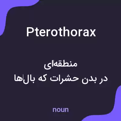 معنی pterothorax به فارسی معنی pterothorax به فارسی