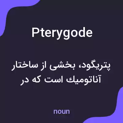معنی pterygode به فارسی معنی pterygode به فارسی