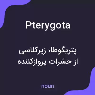 معنی pterygota به فارسی معنی pterygota به فارسی