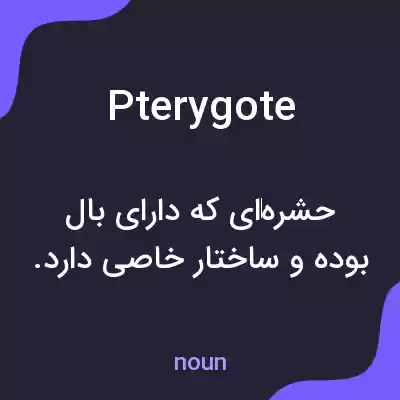 معنی pterygote به فارسی معنی pterygote به فارسی