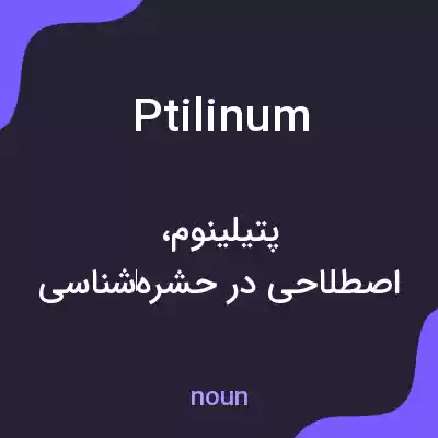 معنی ptilinum به فارسی