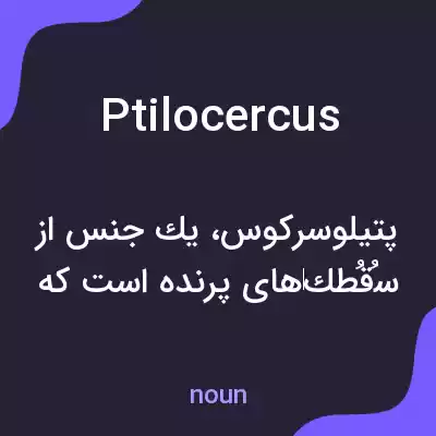 معنی ptilocercus به فارسی معنی ptilocercus به فارسی
