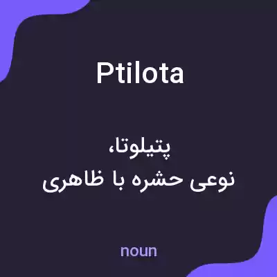 معنی ptilota به فارسی معنی ptilota به فارسی