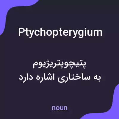 معنی ptychopterygium به فارسی معنی ptychopterygium به فارسی