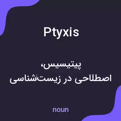 معنی ptyxis به فارسی معنی ptyxis به فارسی