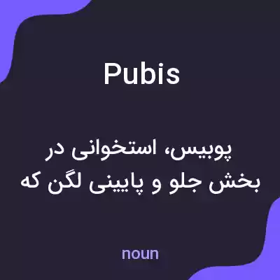 معنی pubis به فارسی معنی pubis به فارسی