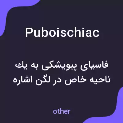 معنی puboischiac به فارسی معنی puboischiac به فارسی