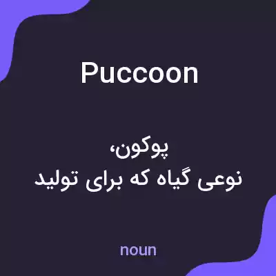 معنی puccoon به فارسی معنی puccoon به فارسی